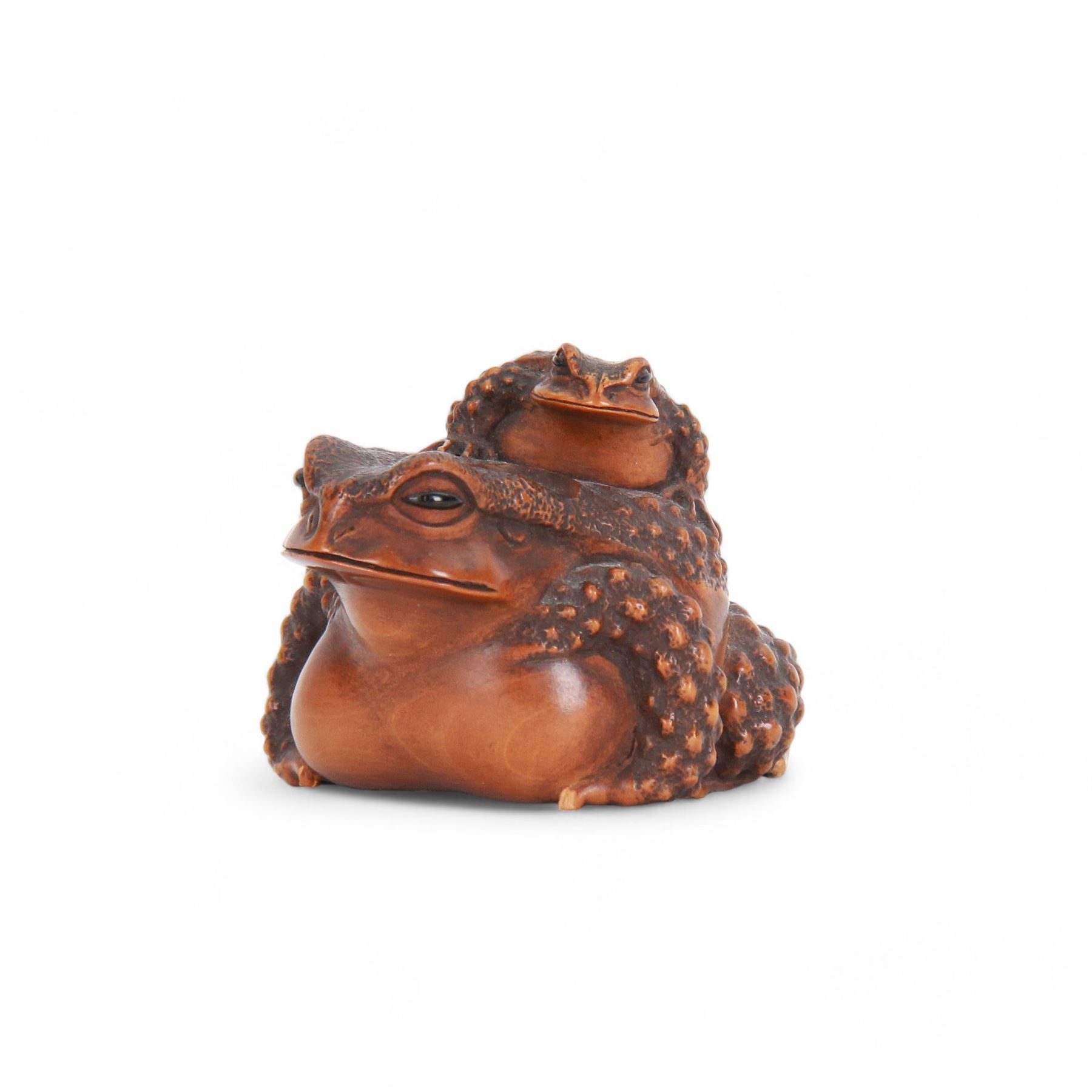 Japanese Edo Meiji period carved wooden netsuke, naturalistically modelled in the form of a seated toad with young upon its back, each with textured skin and black horn inlaid eyes, signed beneath for Masanao, Yamada, Ise Province, H4cm L6cm