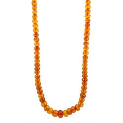 Single strand graduating faceted amber bead necklace, with gilt clasp