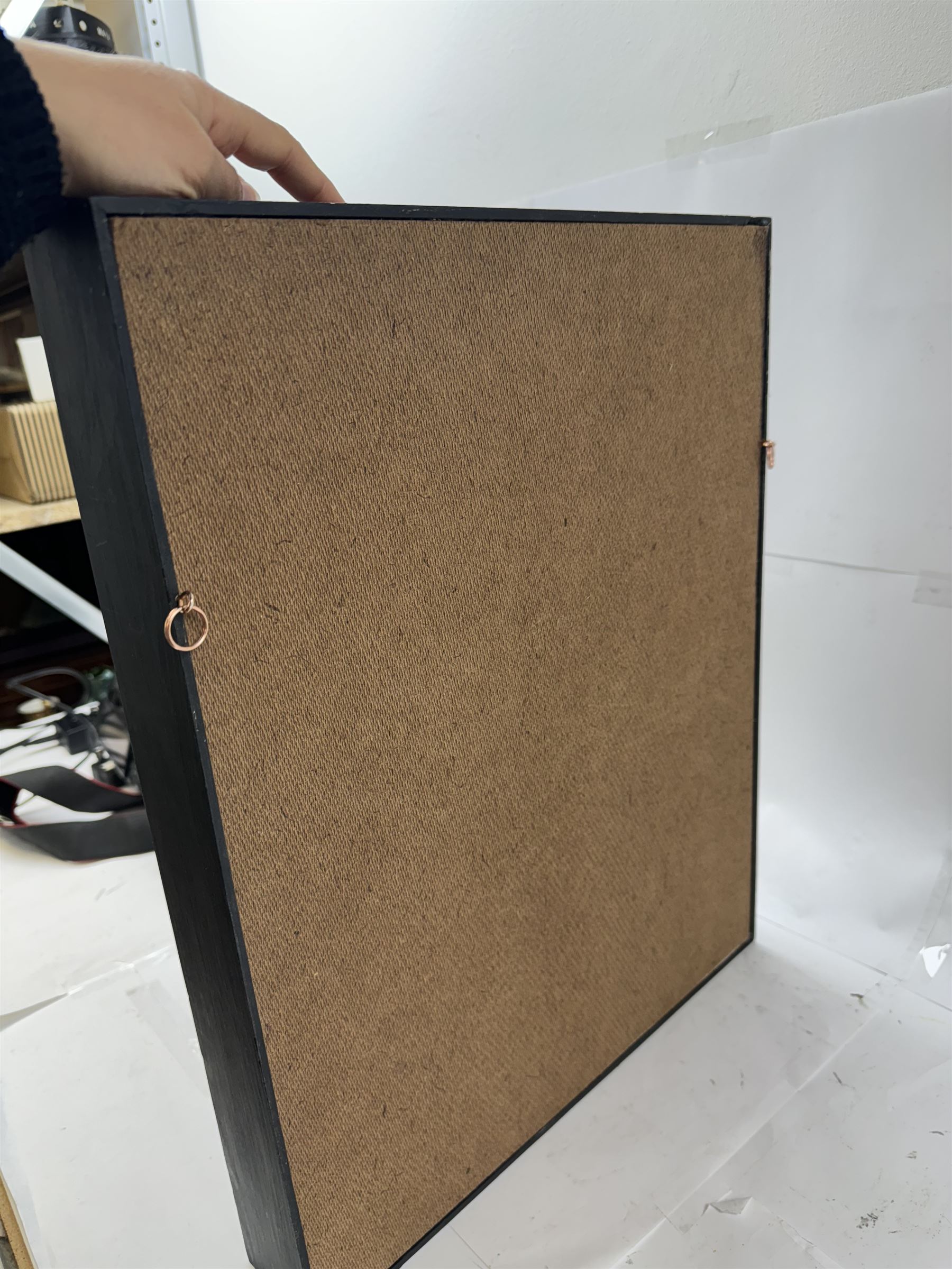 Entomology: Single glazed display of butterflies, circa 20th century, single glazed display containing seven various specimens, including green-banded swallowtail, and amauris crawshayi, pinned upon foam backing, enclosed within a glazed ebonised display case the backdrop painted with blossoming branches , H49cm, L39cm