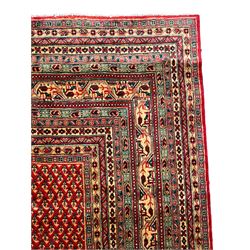 Persian Arak crimson ground carpet, the field decorated profusely with small repeating Boteh motifs, enclosed by multiple border bands decorated with repeating geometric and hook motifs