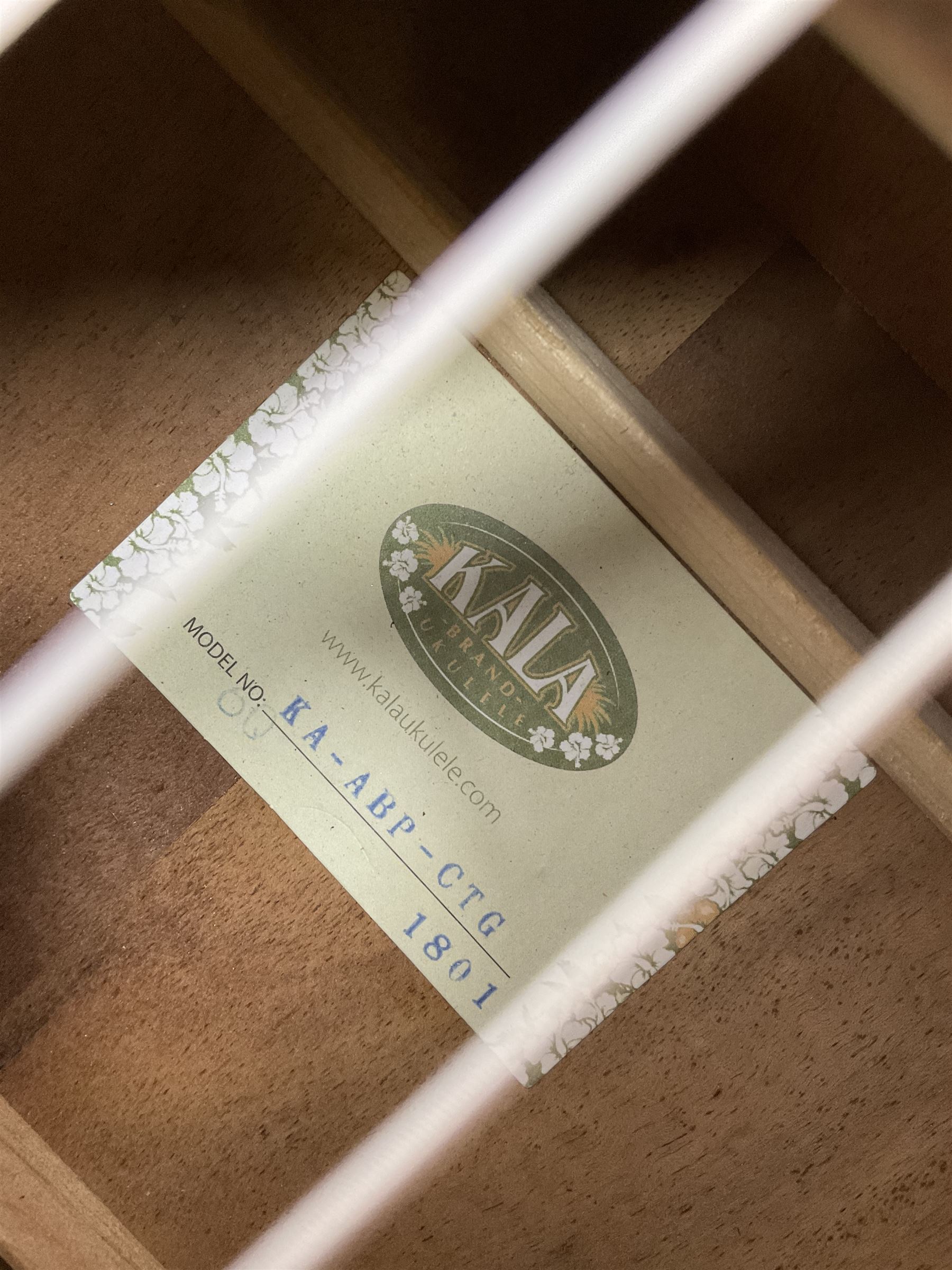 Modern Kala ukulele with acacia back and sides, spruce top and mahogany neck with slotted headstock No. KA-ABP-CTG 1801 L76cm in Tanglewood carrying case; and PG-05 Portable 5W Guitar Amplifier (Battery), boxed (2)