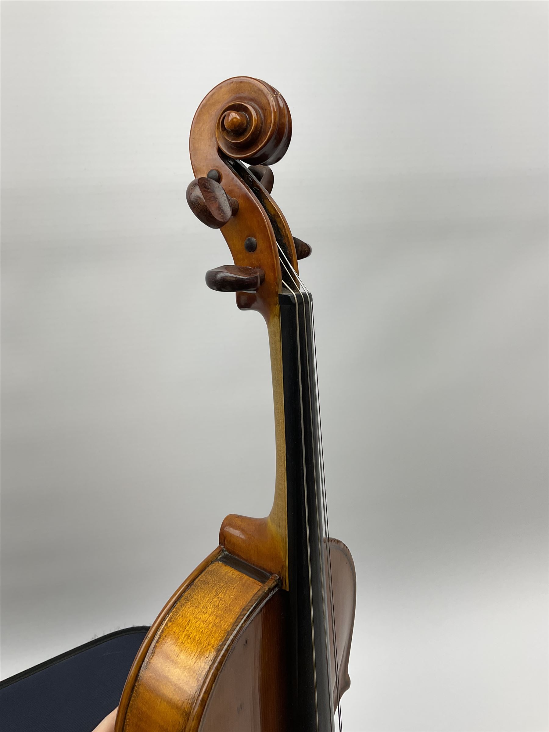 1920s continental large viola with 42cm two-piece maple back and ribs and wide grain sprucewood top with guarnerie sound holes, bears label 'Werner Alajos Budapest', overall length 69cm; in modern carrying case