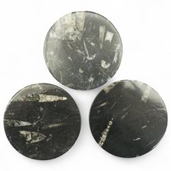 Set of eight coasters with fossil inclusions, W9cm (8)