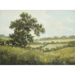 Tony Mercier (British 20th century): The Poppy Field, oil on canvas signed 30cm x 40cm