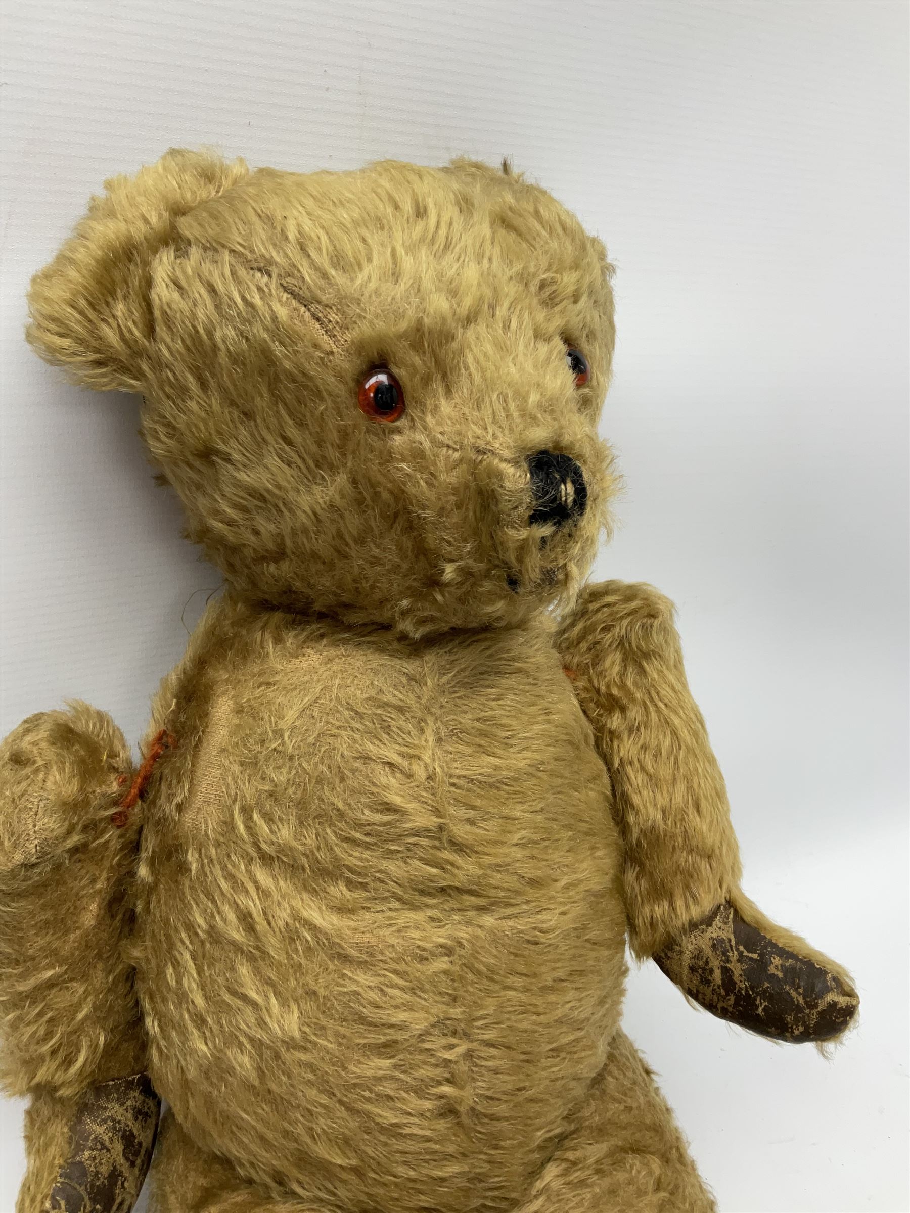 Mid-20th century plush covered teddy bear the revolving head with applied eyes, vertically stitched nose and jointed limbs with rexine pads H58cm; together with a leather backpack (2)