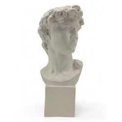 Large plaster bust depicting David, on i