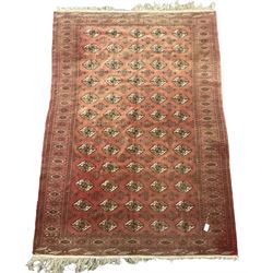 Afghan Bokhara red ground rug, the field decorated with five rows of Gul motifs, guarded border decorated with lozenges and geometric pattern 