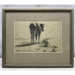 Eugene Verboeckhoven (Belgian 1798-1881): Portrait of a Cow, watercolour signed and indistinctly dated 18*, 16cm x 23cm 