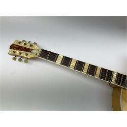 Hofner President semi-acoustic guitar with pearline mounts L104cm, in carrying case