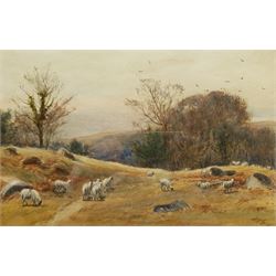 John Henry Cole (British c.1828-1895): Sheep Grazing, watercolour signed 22cm x 34cm          