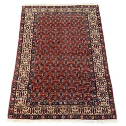 Persian Afshar rug, red ground with repeating panel design decorated with Boteh motifs, the matching guarded border with flower head motifs