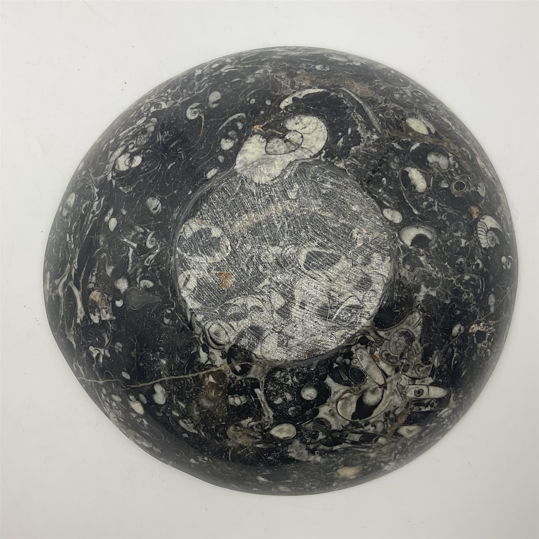 Circular dish with a raised goniatite, with orthoceras and goniatite inclusions, age: Devonian period, location: Morocco, D22cm, H5cm
