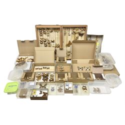 Entomology; large collection of pinned butterflies and moths, to include Cream-spotted Tiger moth, Adonis Blue butterfly, Orange tip butterfly, Swallowtail butterfly etc  