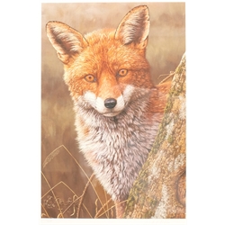 Robert E Fuller (British 1972-): 'Fox at Dawn', limited edition colour print signed and numbered 503/850 in pencil 44cm x 30cm