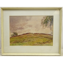 Fred Lawson (British 1888-1968): Gate on the Moors, watercolour signed 25cm x 36cm