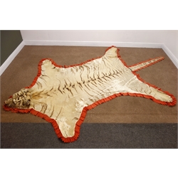  Taxidermy - Early 20th century Tiger skin rug with head mount, glass eyes, limbs outstretched, backed onto canvas backing with felt trim, W206cm x L330cm   