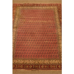  Persian pink ground rug, decorated with repeating Boteh motif, 274cm x 205cm  