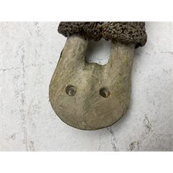 Taxidermy; Roe Deer (Capreolus capreolus), adult Roebuck neck mount looking straight ahead, mounted upon an oak shaped shield, together with a pair of Roe Deer antlers, with partial skull
