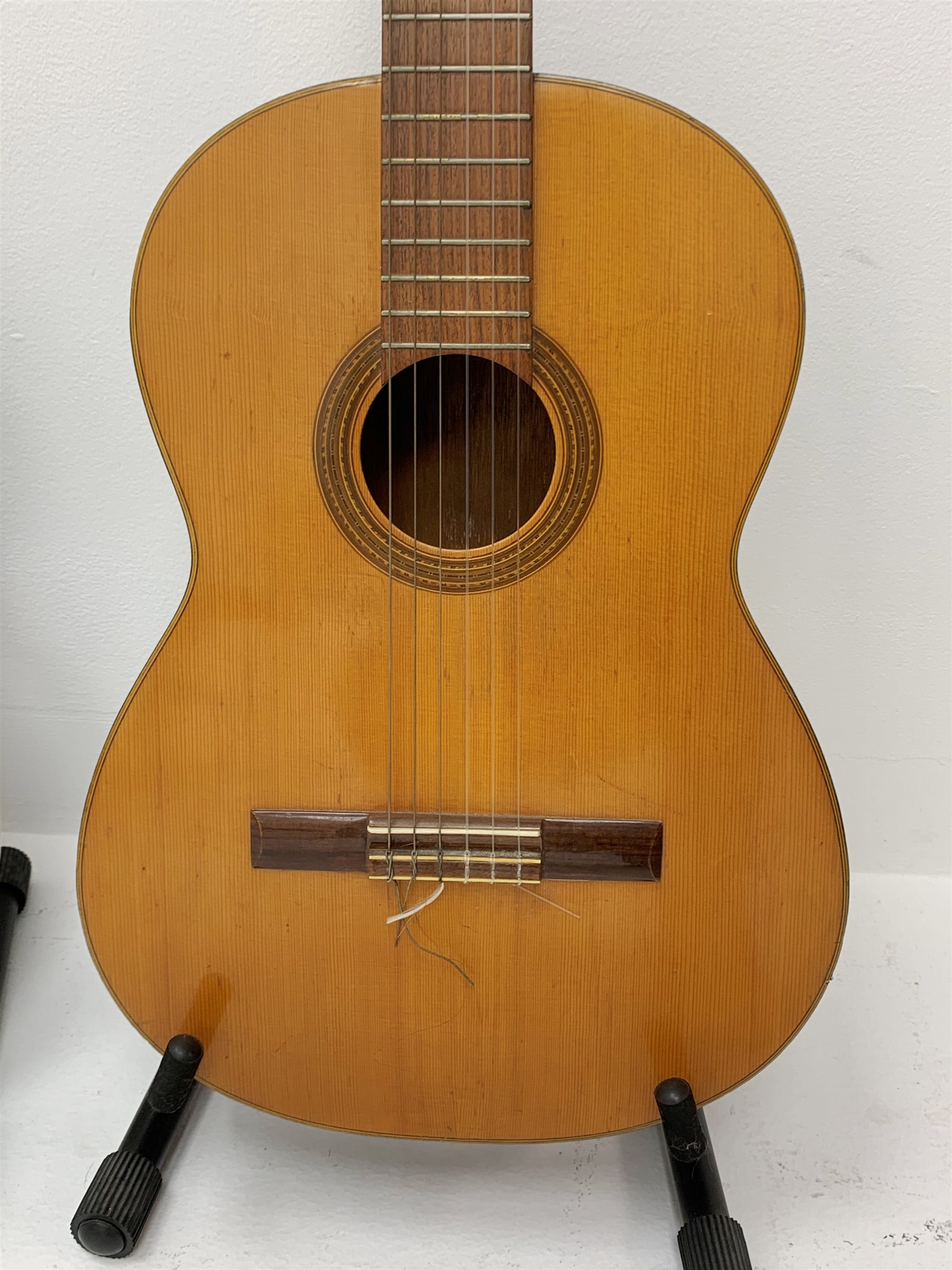 Hohner arbor series clearance acoustic guitar