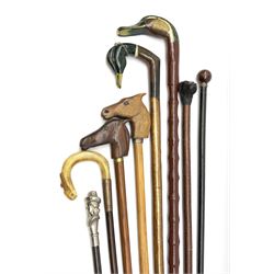 A group of assorted walking sticks, to include a number of novelty examples, the handles carved in various forms including the heads of ducks, horses, and a dog, together with a violin bow and golf club. 