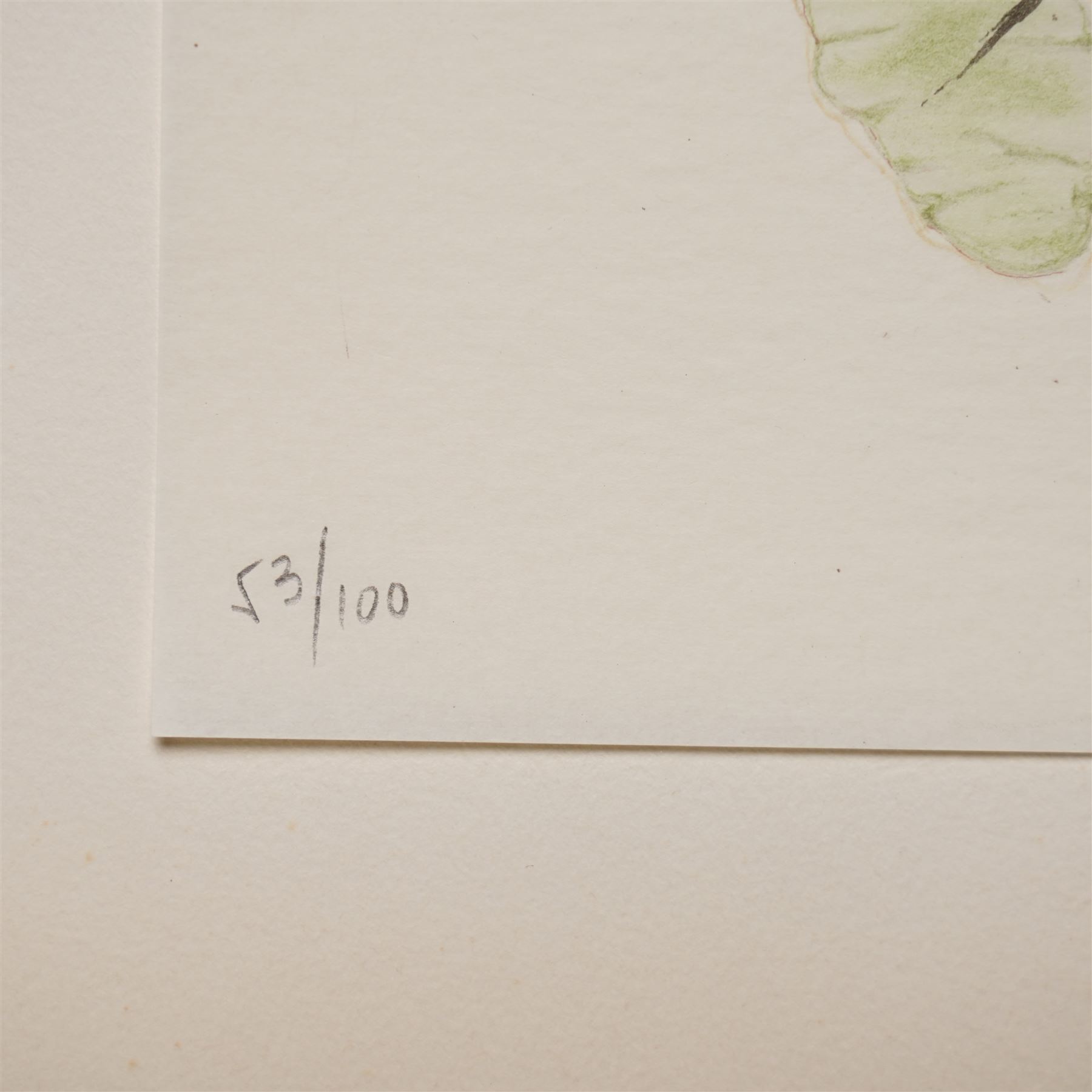 Joan Miro (Spanish (Catalan) 1893-1983): 'Tracé sur l'Eau' (Green), limited edition etching and aquatint on Rives BFK paper, signed and numbered 53/100 in pencil 29cm x 35cm (unframed)