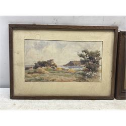 James Ulric Walmsley (British 1860-1954): Ravenscar viewed from Smailes Moor Farm, watercolour signed 16cm x 30cm; Sheila Walmsley (British mid 20th century): Spring Flowers above Robin Hood's Bay, watercolour signed 17cm x 25cm (2) 
Notes: Sheila was James Ulric's daughter.