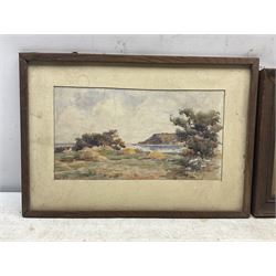 James Ulric Walmsley (British 1860-1954): Ravenscar viewed from Smailes Moor Farm, watercolour signed 16cm x 30cm; Sheila Walmsley (British mid 20th century): Spring Flowers above Robin Hood's Bay, watercolour signed 17cm x 25cm (2) 
Notes: Sheila was James Ulric's daughter.