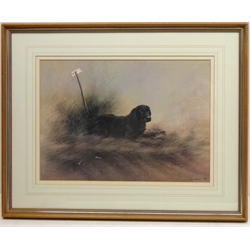  Labrador with Pheasant, limited edition colour print No.66/150 signed in pencil by John Naylor (British 1960-) 30cm x 43cm  