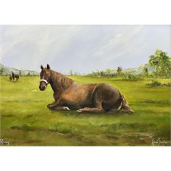 Adrian Thompson (British 1960-): 'Resting' - Horse in a Field, oil on canvas signed and titled 39cm x 55cm