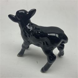 Beswick Aberdeen Angus family group, comprising bull 1562, cow 1563 and calf 1827A
