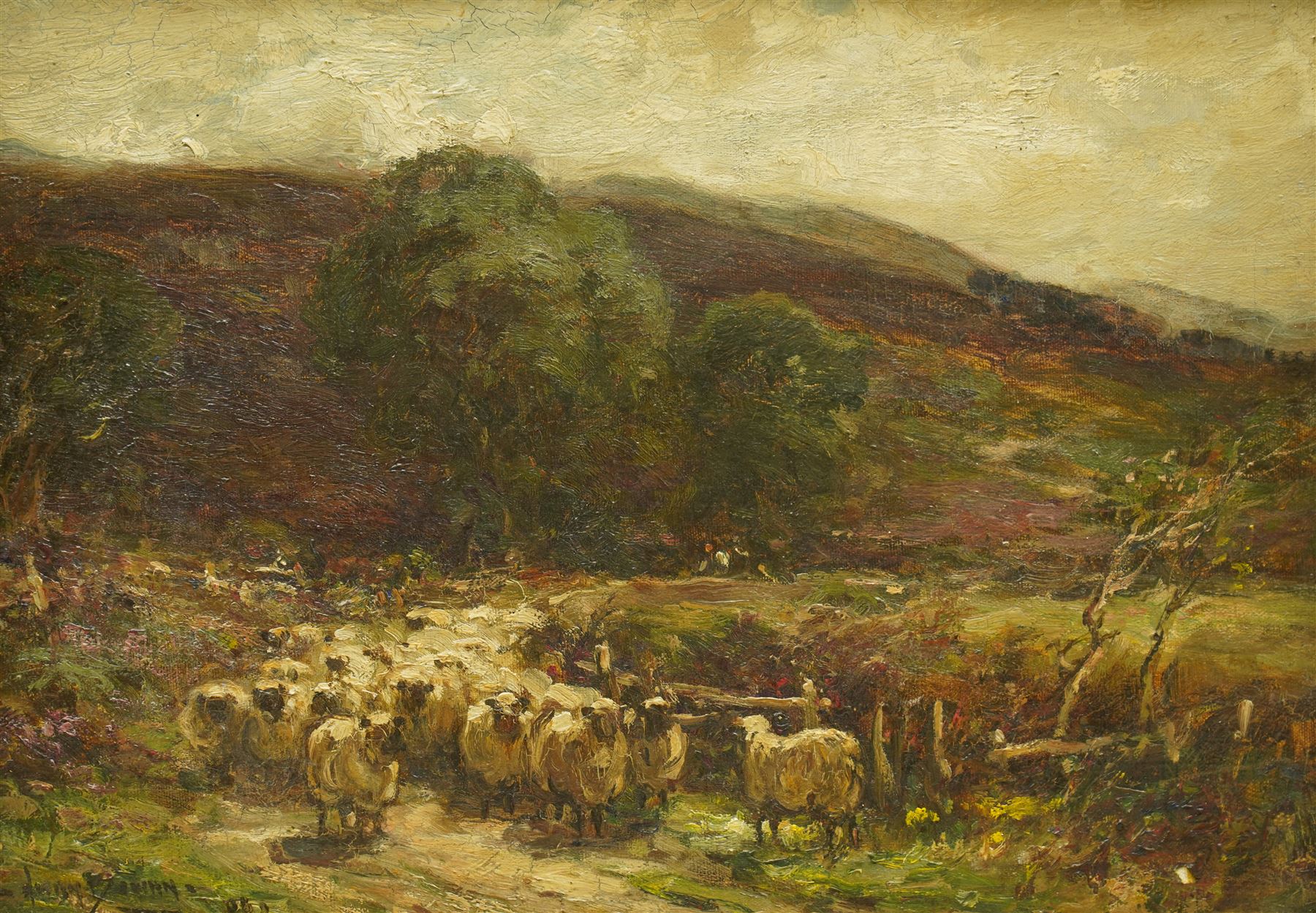 Owen Bowen (Staithes Group 1873-1967): Sheep Grazing in the Yorkshire Moors, oil on canvas signed and dated '06, 26cm x 37cm