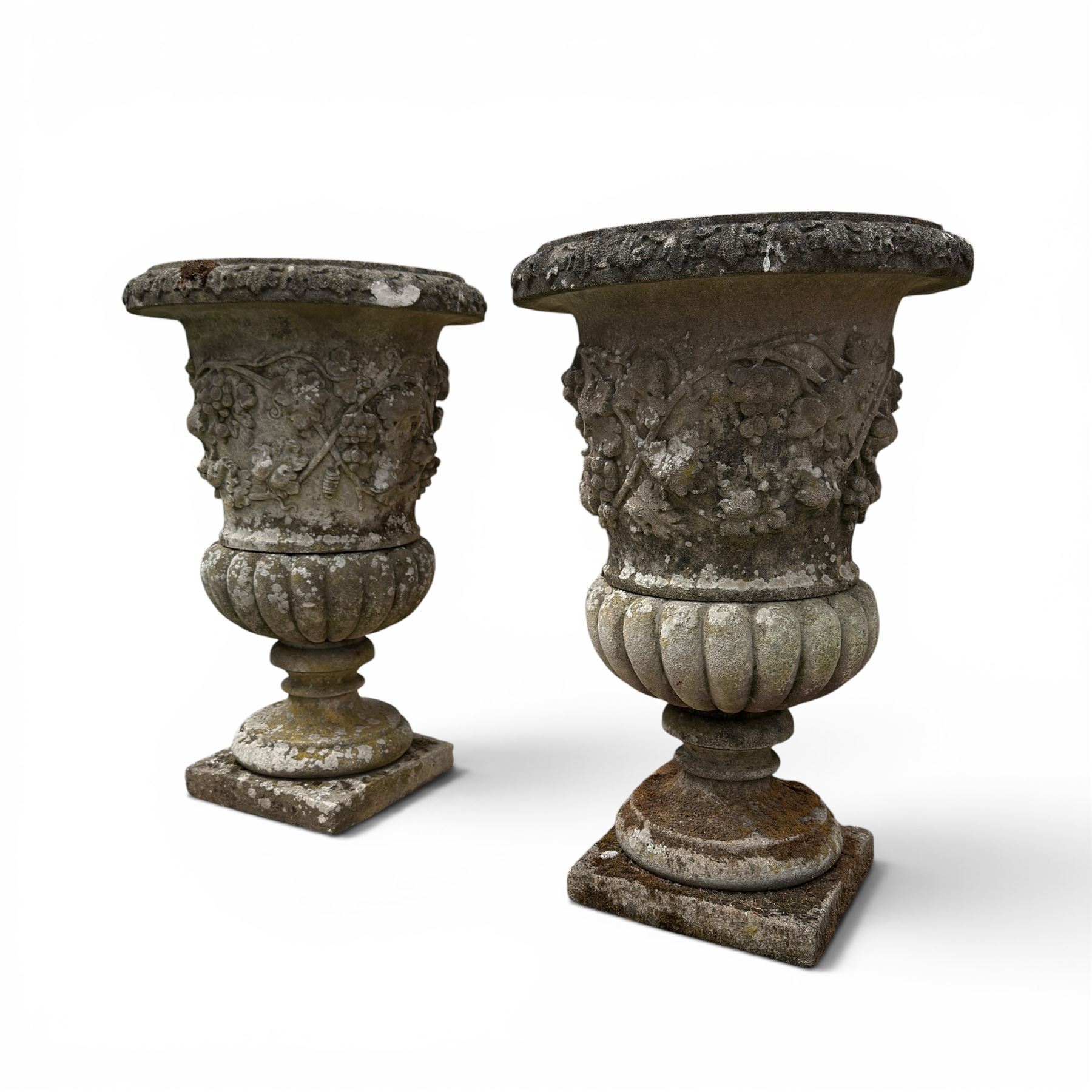Pair of quality antique weathered three-piece composite stone garden urns, the flared rim moulded with repeating acanthus leaves, over a deep-relief campana body decorated with fruiting grapevines and ivy leaves, the gadrooned underbelly over a turned socle and square base