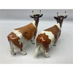 Five Beswick figures of cattle Comprising Ayrshire Bull Ch Whitehill Mandate, no 1454B, three Ayrshire Cow Ch Ickham Bessie, no 1350 and Ayrshire Calf, no 1249B, all with printed marks beneath