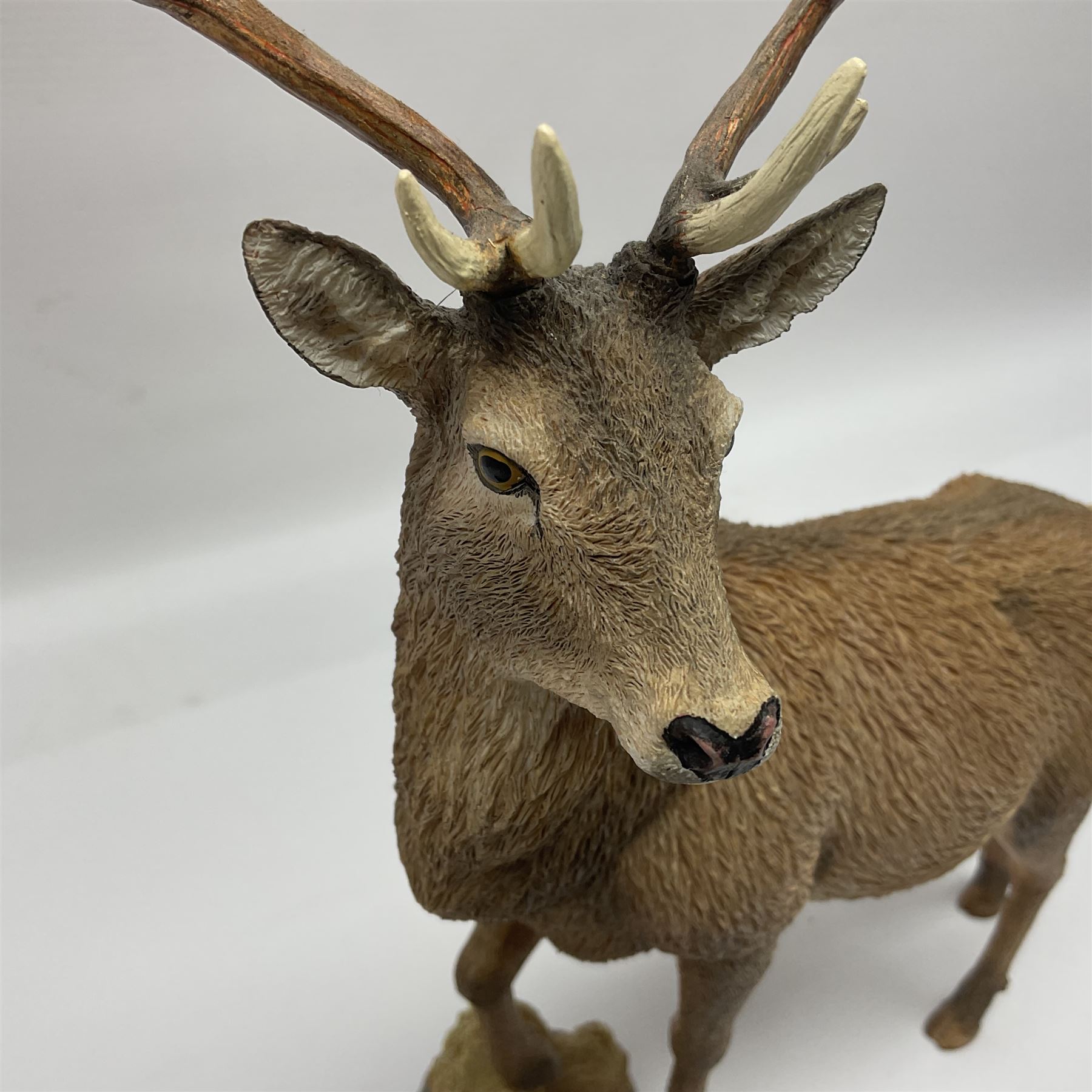 Country Artists Red Deer Stag and a Border Fine Arts Friesian Cow and Calf figure, Stag H30cm