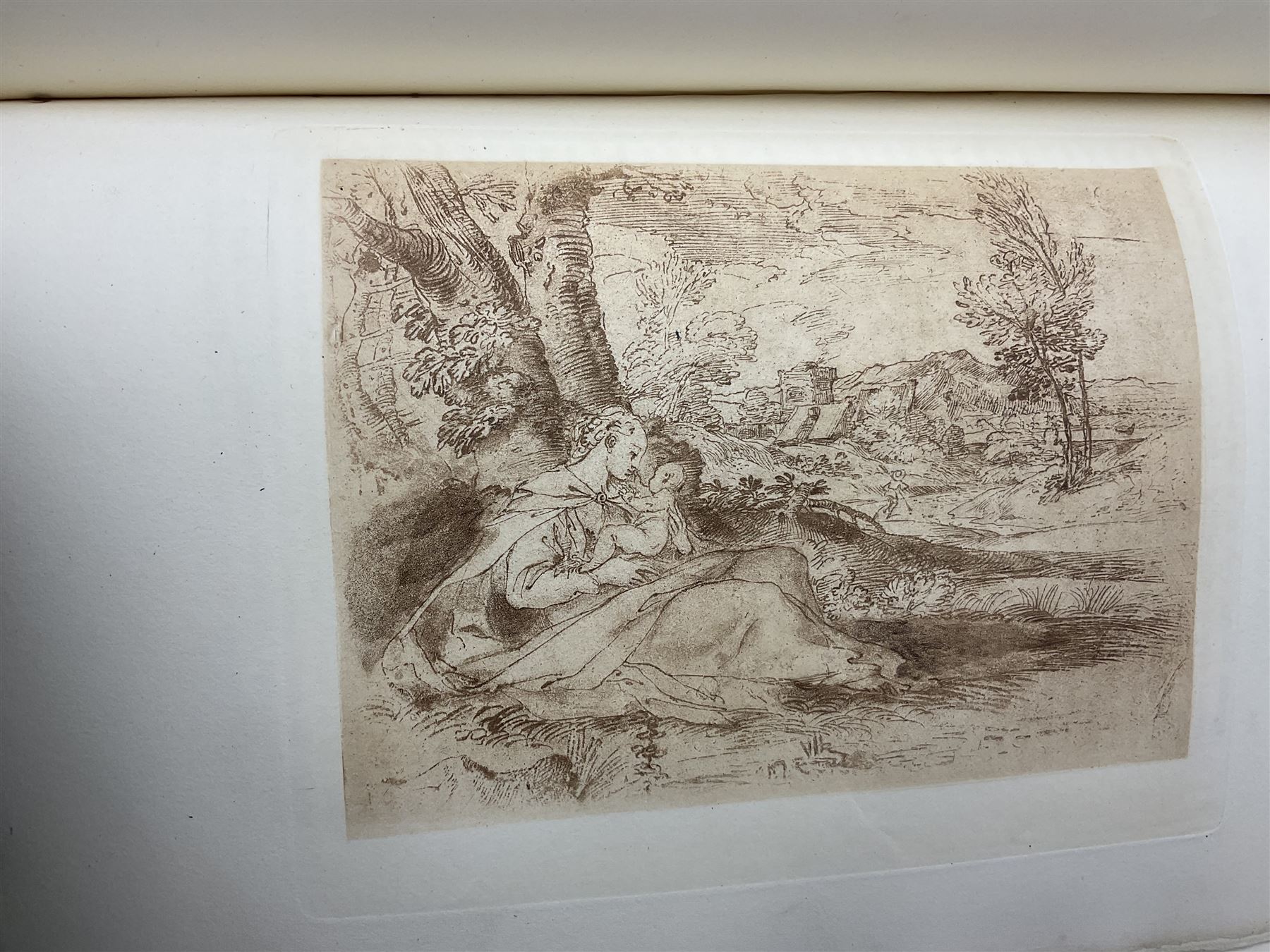 Jones, Thomas Rymer; Cassell's Book of Birds, London, Cassell, Petter & Galpin, volumes I & III, with coloured plates, Hamerton, Peter Gilbert; Landscape, London, Seeley & Co, two copies and The Garden An Illustrated Weekly Journal of Horticulture in all its Branches, London, with coloured plates  