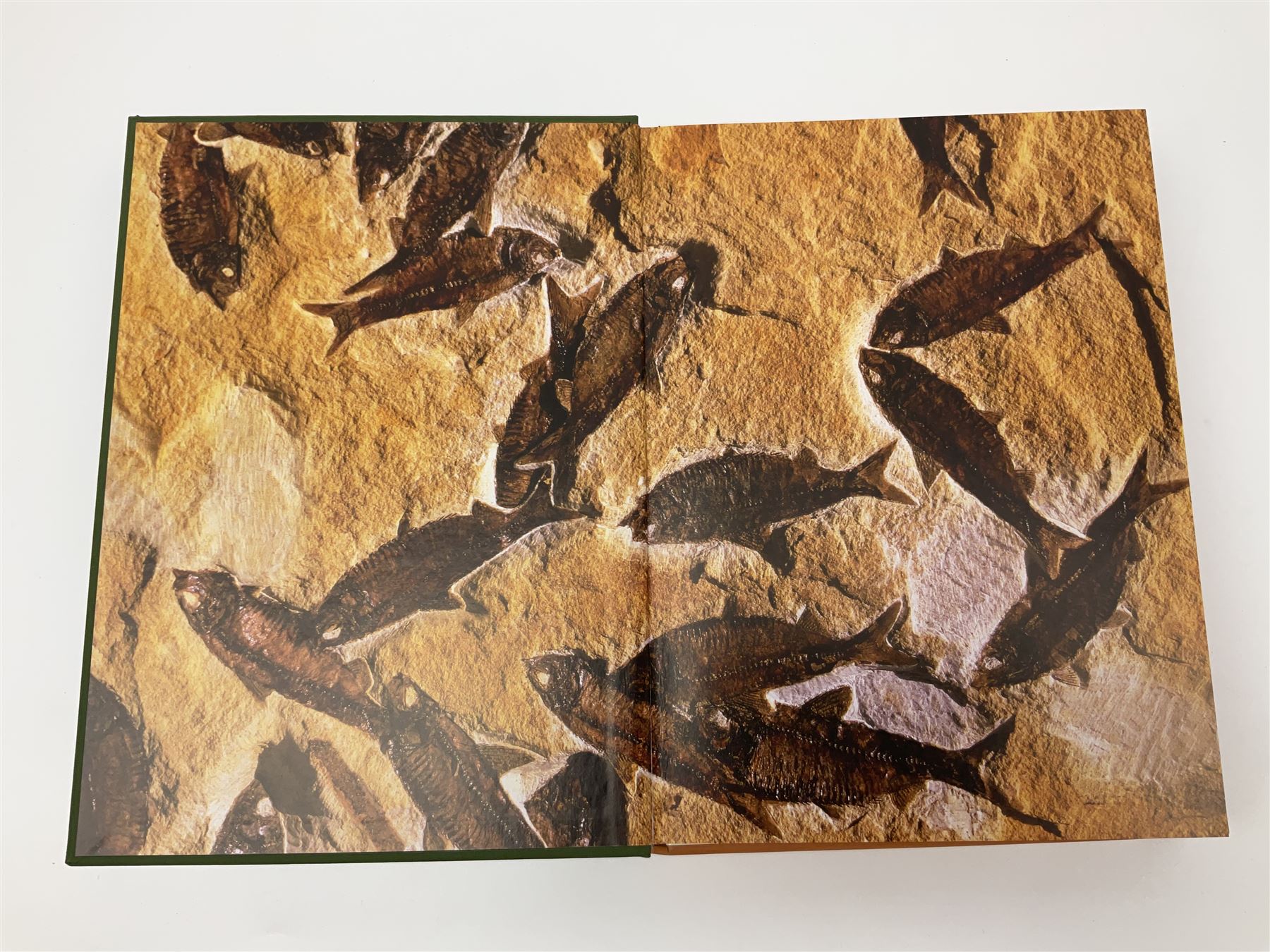 Folio Society - nineteen volumes including Life, The Dead Sea Scrolls, The World of the Odysseus, The Trial of the Templars, etc