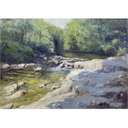 Neil Tyler (British 1945-): 'Betws-y-Coed', oil on canvas signed, titled verso 49cm x 69cm