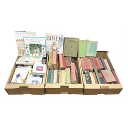 Large quantity of assorted books, to include Children's books, including The Wind in the Willows, Arabian Night, etc., in three boxes 
