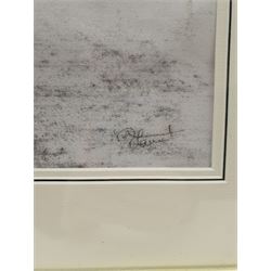 Richard Farrant (British Contemporary): 'Catwalk', charcoal signed 49cm x 39cm