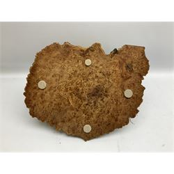 Sestrel brass cased ships gimbal mounted compass, fitted on a burrwood slab, serial no.5532, pat.no.586665 D19cm