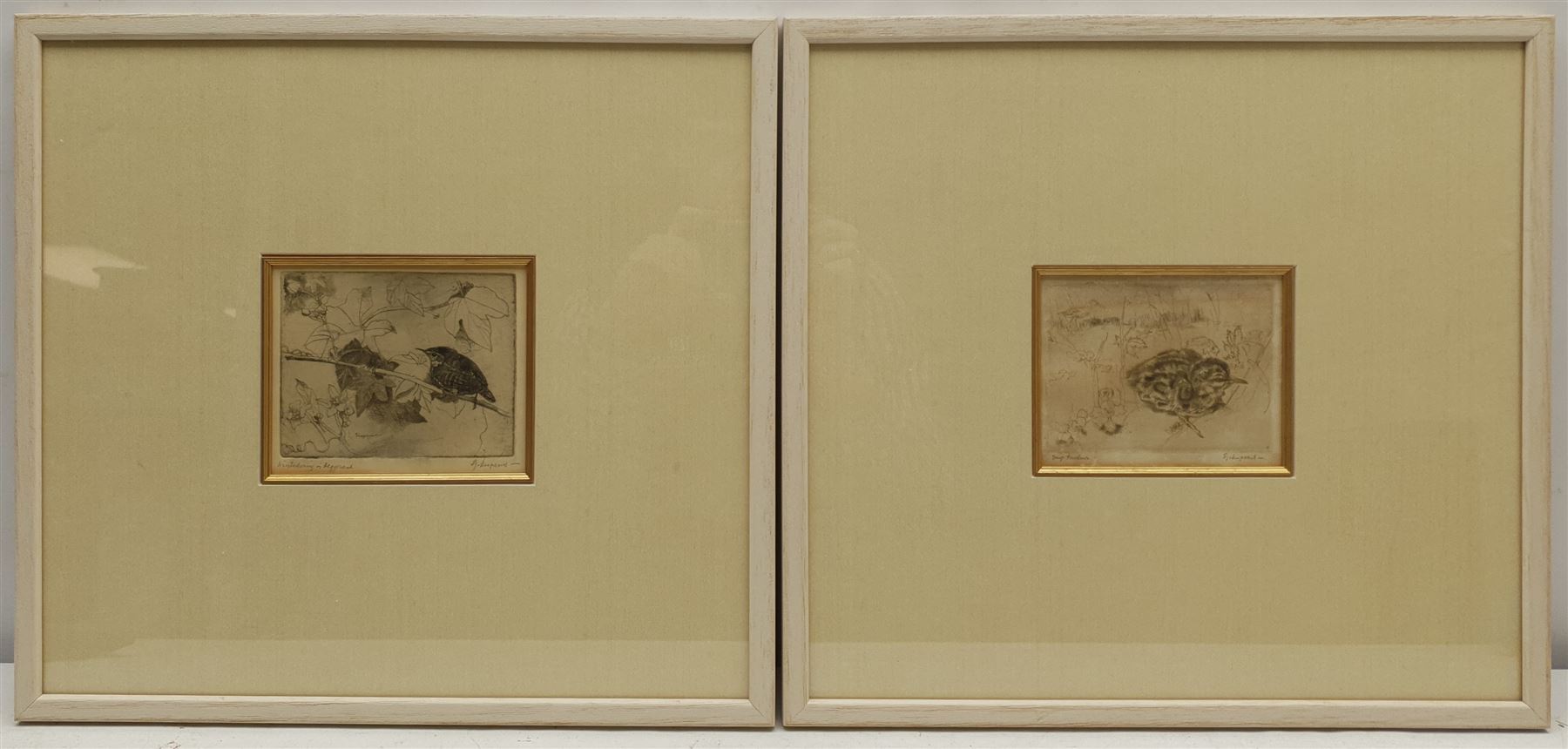 Sjoerd Kuperus (Dutch 1893-1988): Bird Studies, pair etchings signed and titled in pencil 10cm x 12cm and 11cm x 13cm (2)