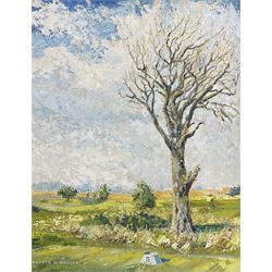 Edward W Magnay (20th century French): 'Temporary Tree', oil on board, signed and dated '71, 49cm x 39cm