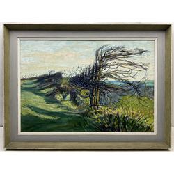 Deryck Stephen Crowther (Northern British 1922-2007): Windswept Trees, oil on canvas signed and dated 1962, 62cm x 90cm