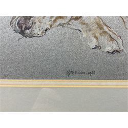 Dennison (20th Century): Two Dogs on a Rug, pastel indistinctly signed and dated 1988, 28cm x 48cm 