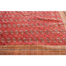 Large Afghan Bokhara crimson ground carpet, the field with rows of repeating Gul motifs and geometric design, enclosed by multiple repeating geometric guard bands