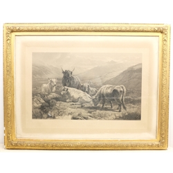 William Turner Davey (British 1818-1900) after William Watson (19th century): 'Scotch Cattle Western Highlands', engraving pub. B Brooks, London 1876 in original gilt frame 60cm x 90cm