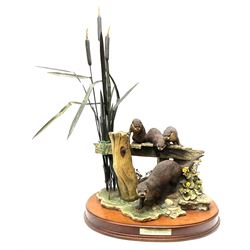 A large limited edition Border Fine Arts figure, Taking the Plunge, by Ray Ayres, depicting a family of otters, model no L143, upon wooden base, H77cm. 