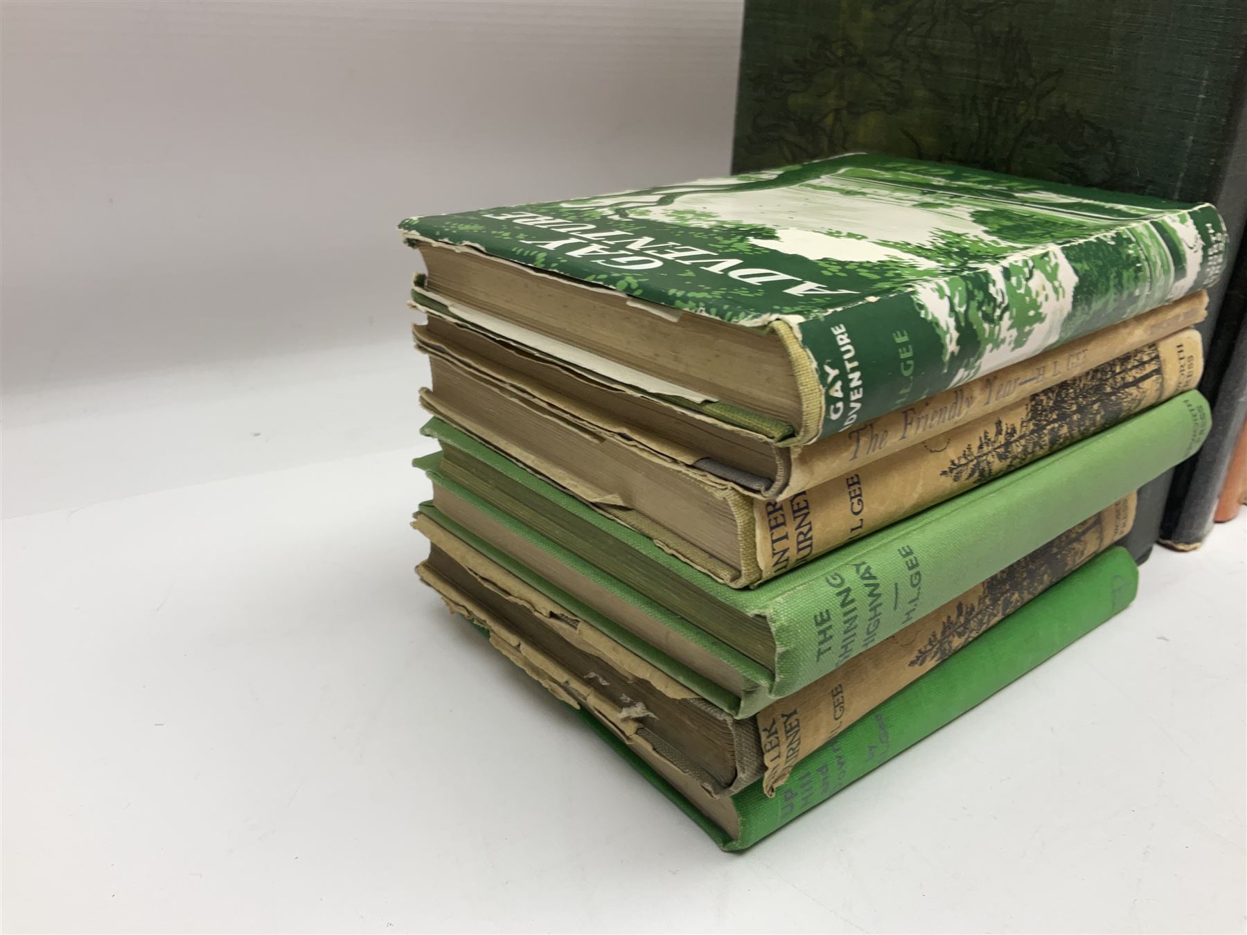 Two editions of Black Beauty by Anna Sewell - one 1899 with limp covers, the other 1915 illustrated by Lucy Kemp-Welch; seven works by Yorkshire author H.L. Gee; three novels by Patricia Highsmith; and five other books