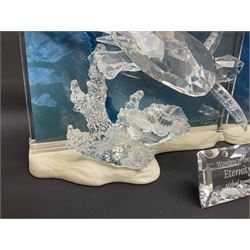 Swarovski Crystal, Wonders of the Sea Trilogy: 'Eternity', 'Community' and 'Harmony', all with stands and plaques, H20cm