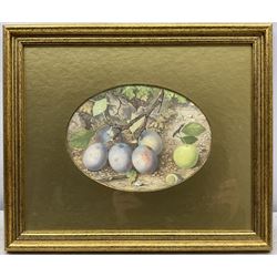 William Henry Hunt (British 1790-1864): Still Life of Plumbs, oval watercolour signed with initials 14cm x 19cm